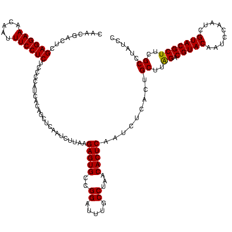 secondary structure