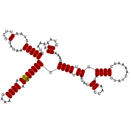secondary structure