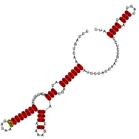 secondary structure