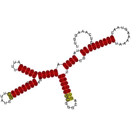 secondary structure