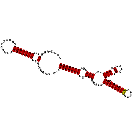 secondary structure