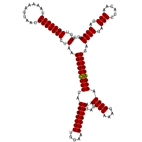 secondary structure