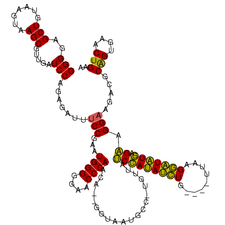 secondary structure