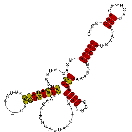 secondary structure