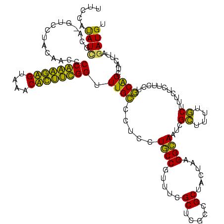 secondary structure