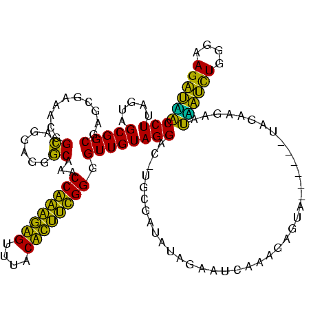 secondary structure