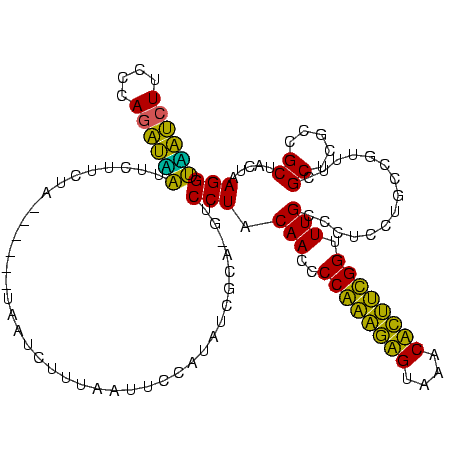 secondary structure