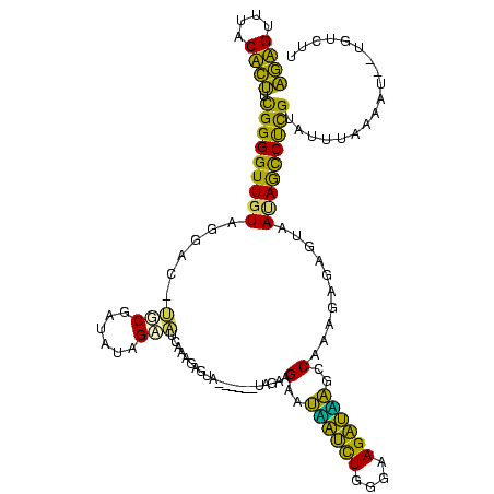 secondary structure