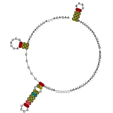 secondary structure