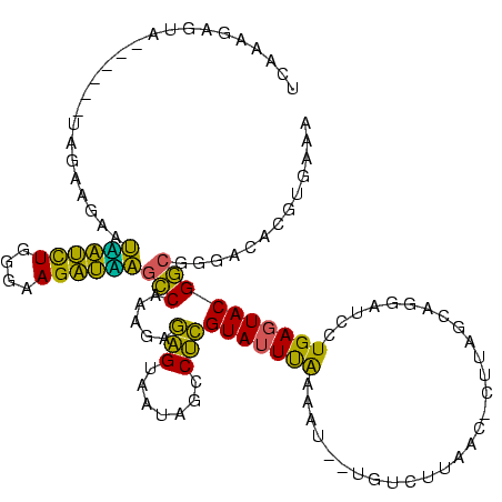 secondary structure