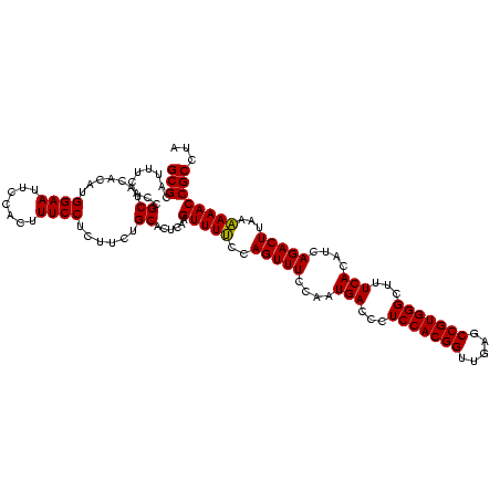 secondary structure