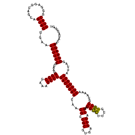 secondary structure