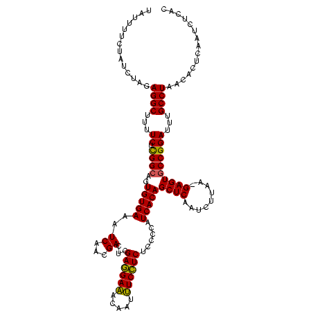 secondary structure