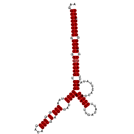 secondary structure