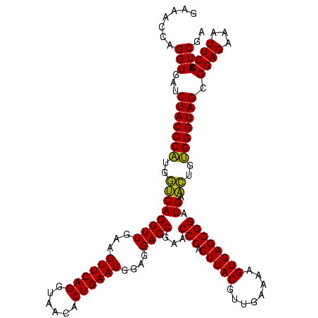 secondary structure