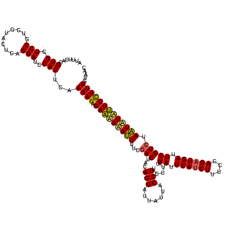 secondary structure