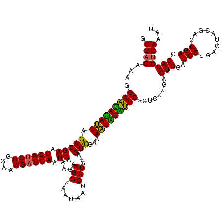 secondary structure