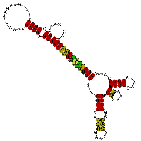 secondary structure
