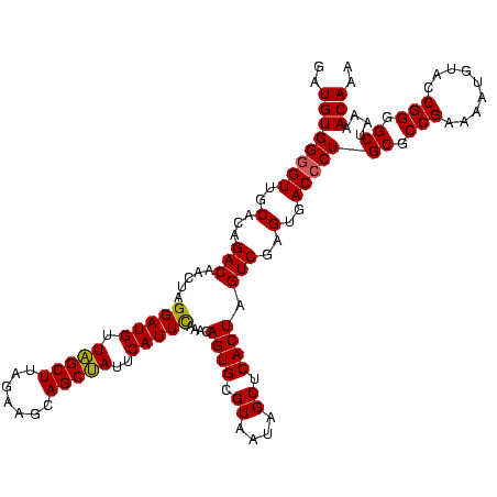 secondary structure