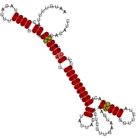 secondary structure