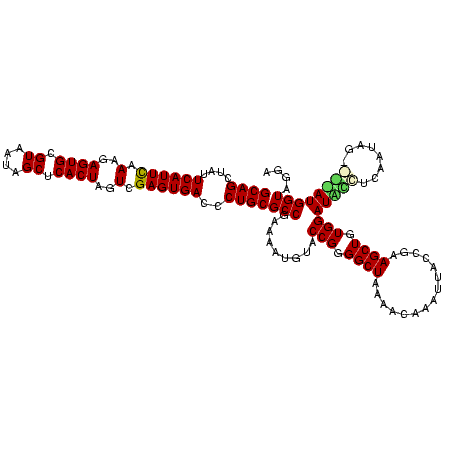 secondary structure