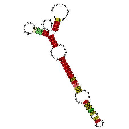 secondary structure