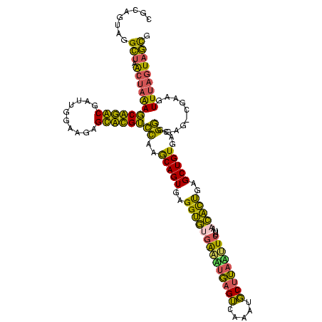 secondary structure