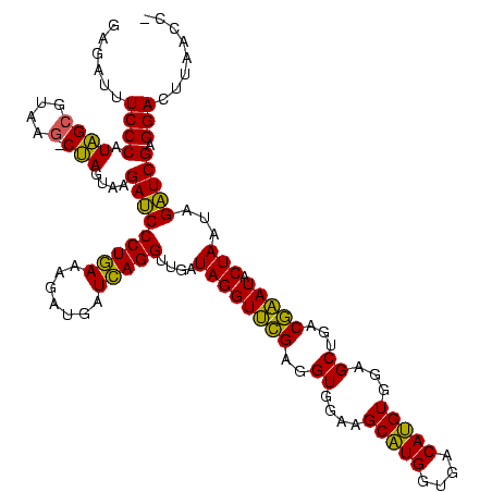 secondary structure