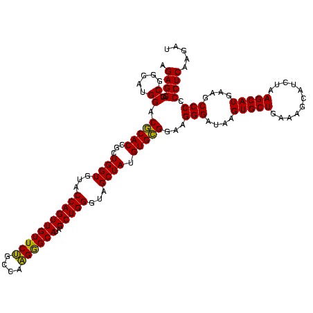 secondary structure