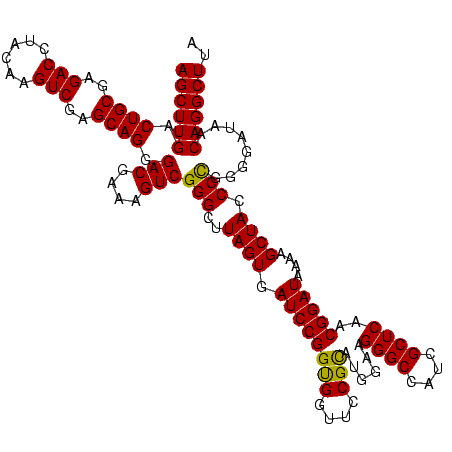 secondary structure