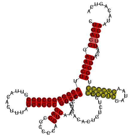 secondary structure