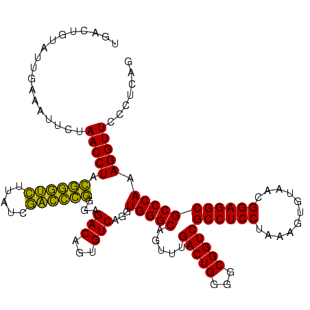 secondary structure