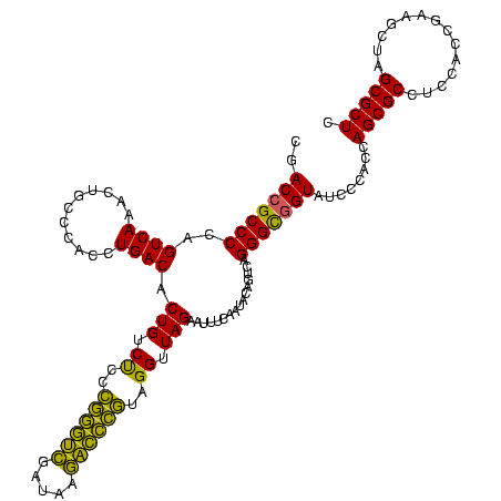 secondary structure
