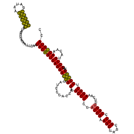 secondary structure