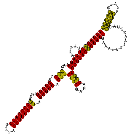secondary structure