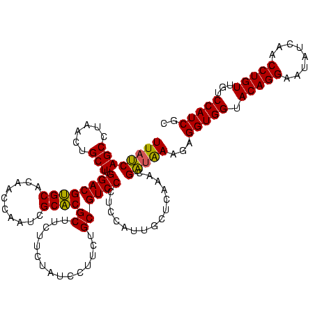 secondary structure