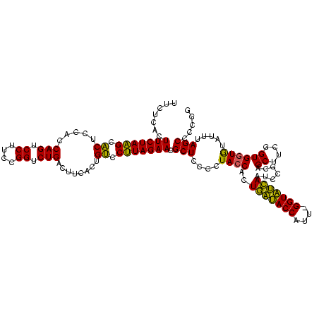 secondary structure