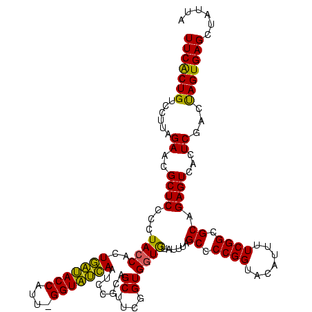 secondary structure