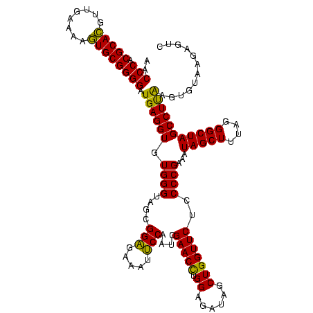 secondary structure