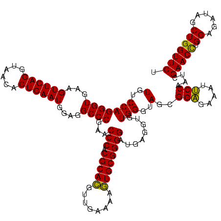 secondary structure