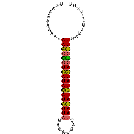secondary structure