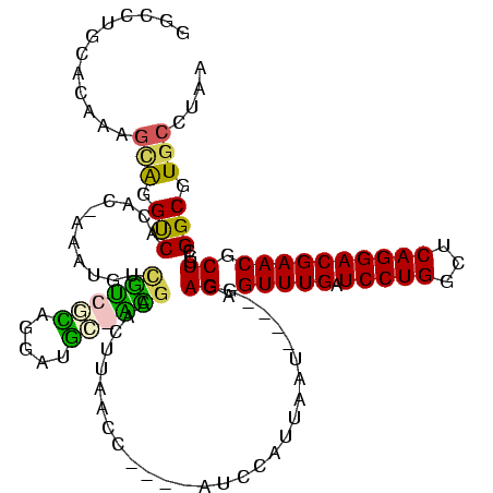 secondary structure
