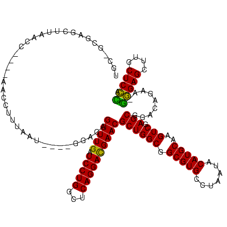 secondary structure