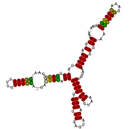secondary structure