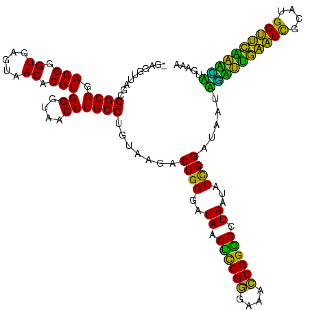 secondary structure