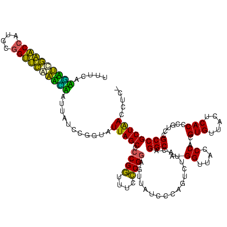 secondary structure