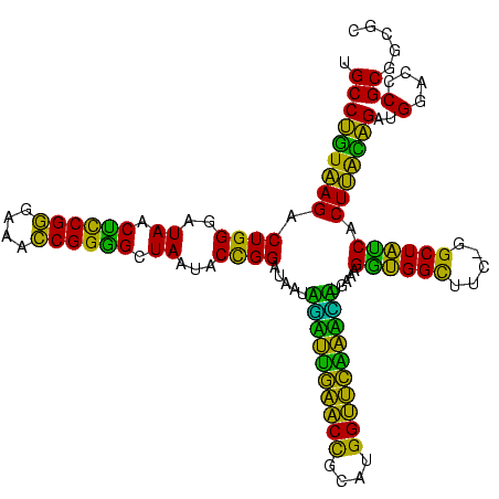 secondary structure