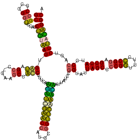secondary structure