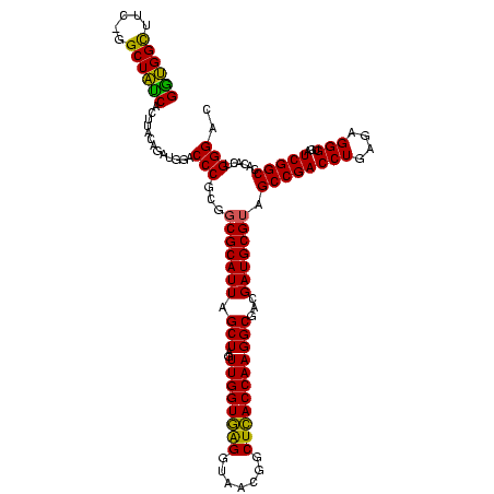 secondary structure