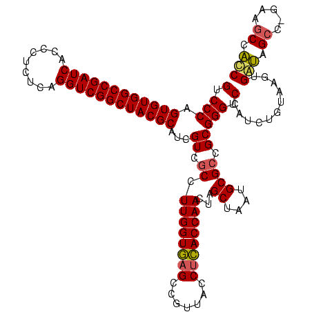 secondary structure